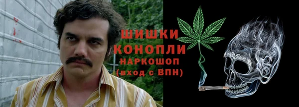ECSTASY Покачи