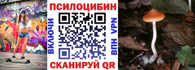 мориарти Telegram  Озёрск  Псилоцибиновые грибы ЛСД  ОМГ ОМГ зеркало 